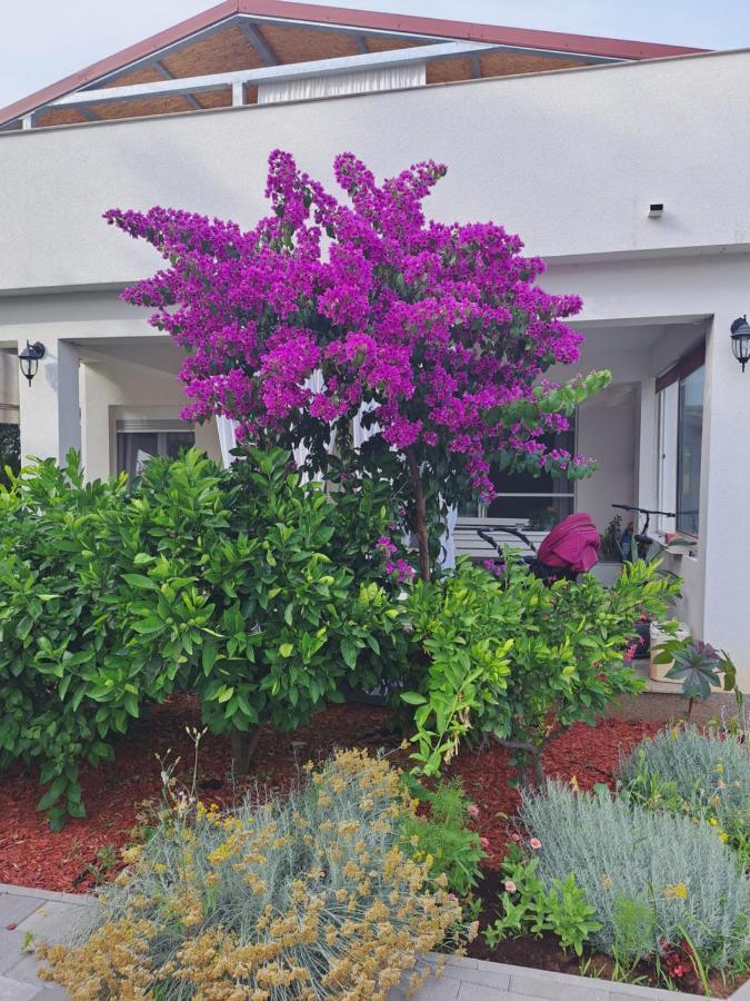 Apartment Noa'S Garden Bibinje Exterior photo